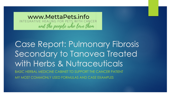 pulmonary fibrosis treated successfully with herbs